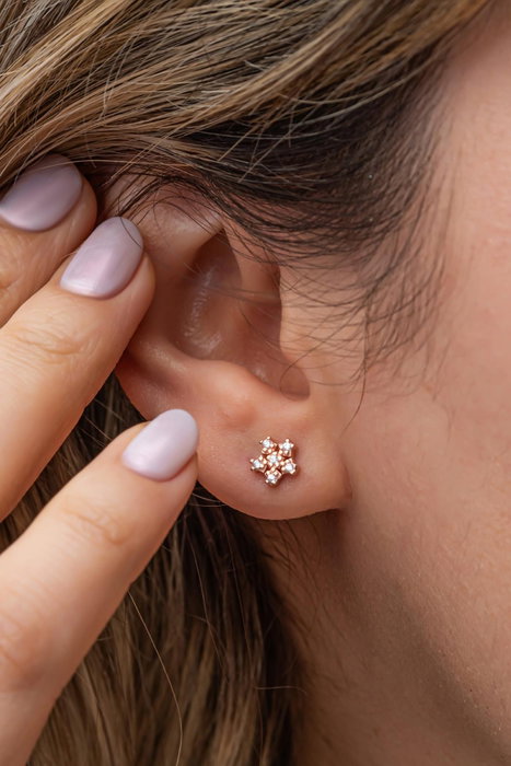 Heliophilia Silver Pendientes de Plata de Ley 925 con Oro Rosa y Circón